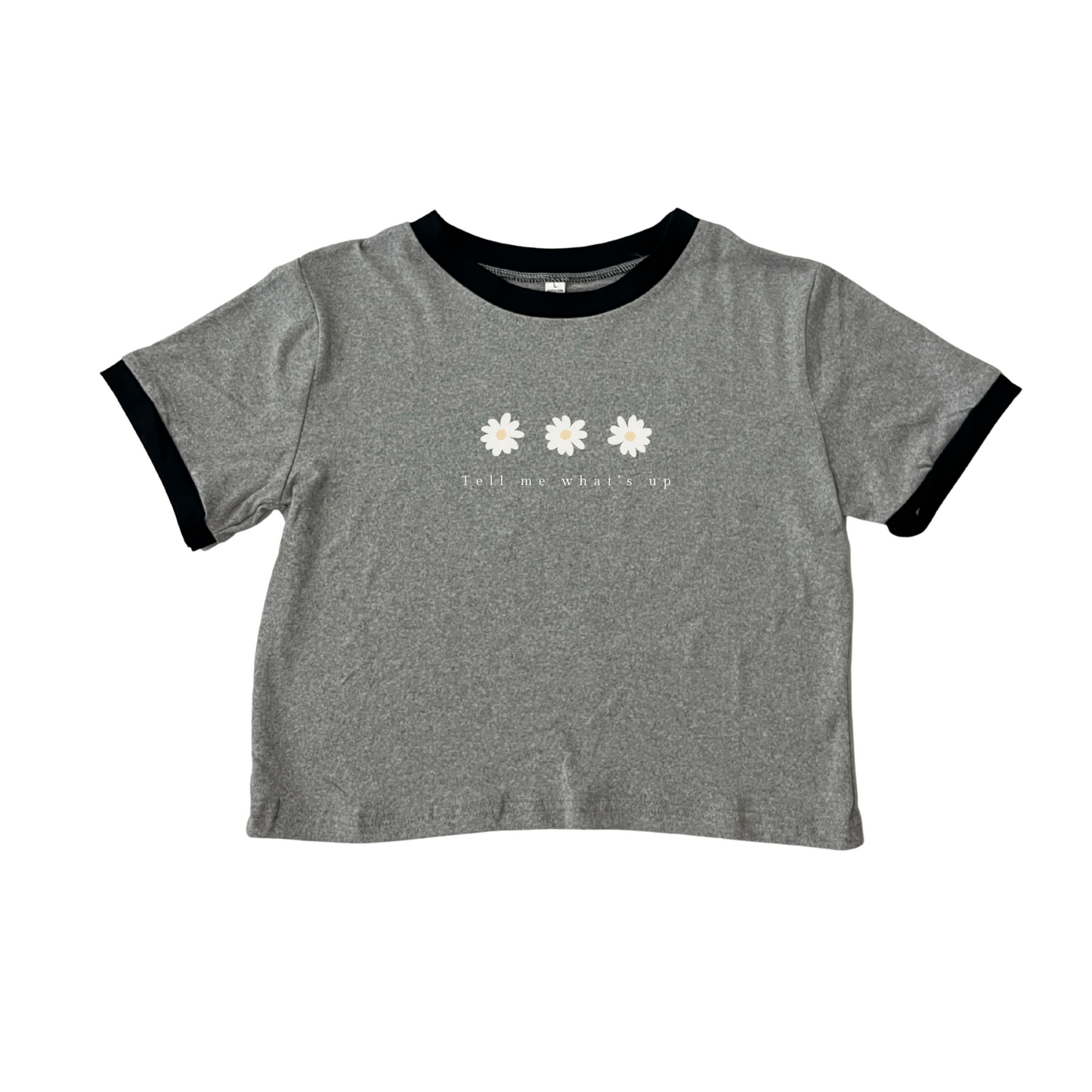 Minimal Daisy Floral #S2519